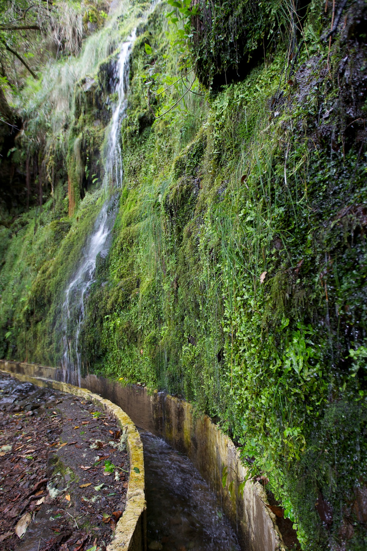 Nature & Levadas